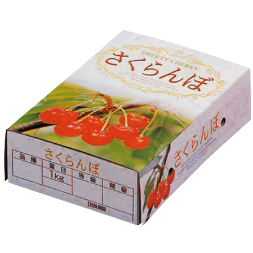 K-240 さくらんぼ(1kg用)（1セット100個入）