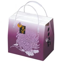 K-344 菊(大)（1セット60枚入）